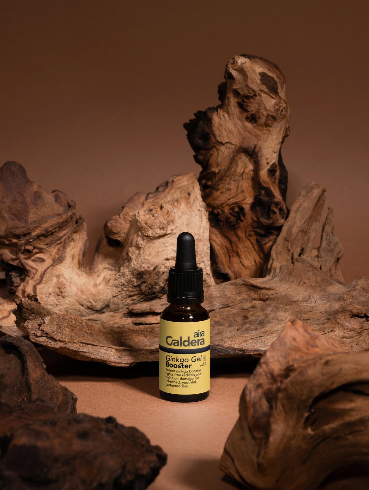 Antioxidant Ginkgo Gel Booster