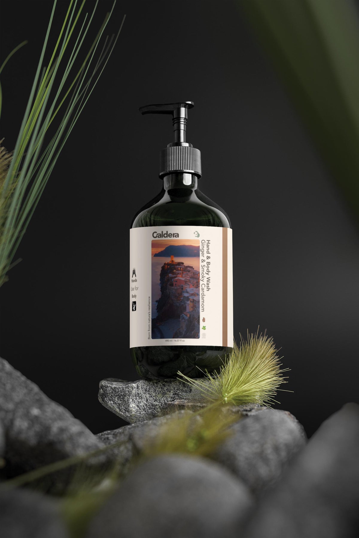 Hand & Body Wash | Ginger & Smoky Cardamom